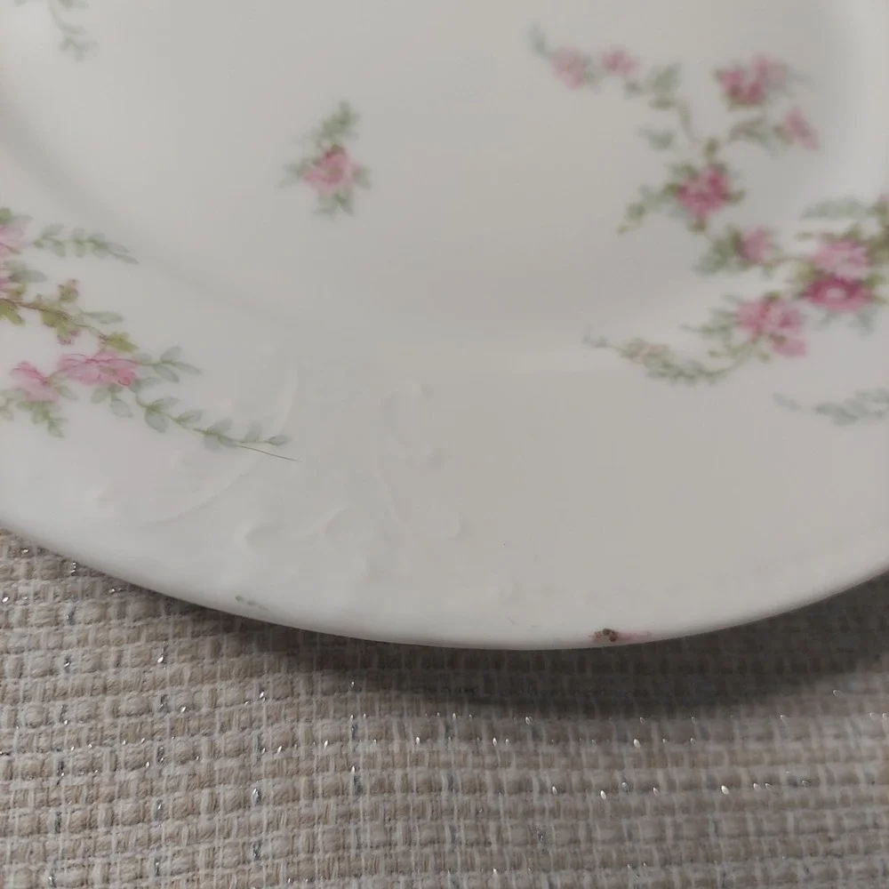 ANTIQUE Theodore Haviland Limoges France Patent Applied 2 Dinner‎ Plates Floral